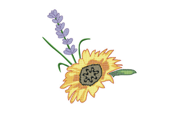 Sunflower and Lavender: A Designer’s Review